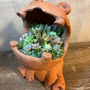 木製 香合 うりの意匠 彫刻 茶道具 - メルカリ