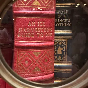 90s stussy Michael べっ甲　ブラウン　野村周平　裏原 90s stussy Michael べっ甲 ブラウン 野村周平 裏原 90s stussy