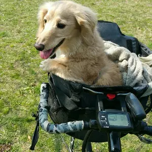 2022年モデルプロも絶賛‼️YOW ヤウ メラキ S5 トラック 中古