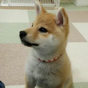 【希少美品】ケンクラフト オーシャンブルーライトボートスペシャルKCLB78SP 希少美品】ケンクラフト オーシャンブルーライトボート