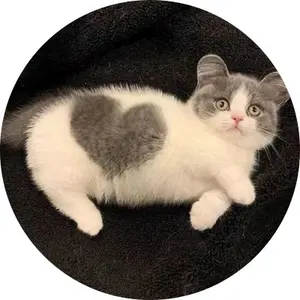 ニトロキラル展 メモリーズ LAMENTO コノエ ぬいパル ぬいぐるみ