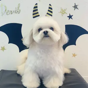 レア【未使用品】フランフラン カピスシェル（カピス貝）ペンダント