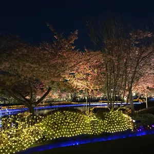 パ*ン様 キングダム全巻セット(1〜75巻)とキングダム2の来場者特典 伍