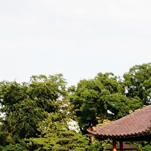 SHARP キャセロール N-200 電子レンジ用鍋 シャープ - メルカリ