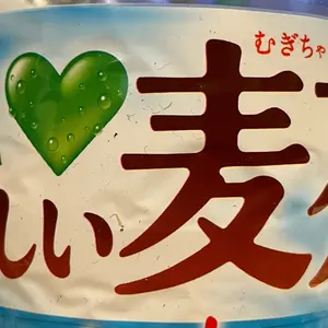 JBL 4345 グリルエンブレム サランネット・ロゴプレート2枚＋新品金具4