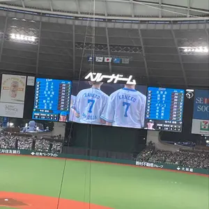 森下翔太 ホームランボール wbc 大谷翔平 出場試合 - メルカリ