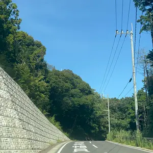 最終値下げ※メッズ Mezz ECシリーズ+314-2シャフト - メルカリ