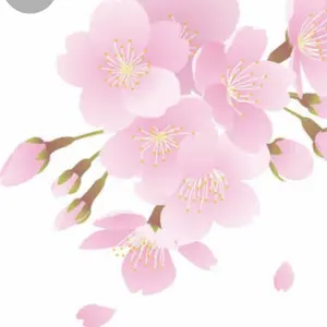 桜鏡 さくらかがみ 皐月 さつき サツキ 小品盆栽 ミニ盆栽 皐月盆栽