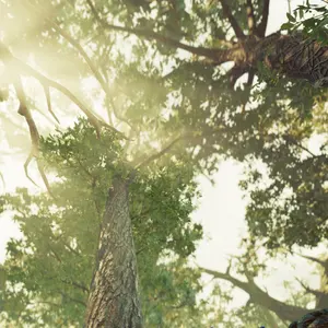 ダンガンロンパ3 宗方 逆蔵 雪染 74期セット 未開封 ナンジャタウン