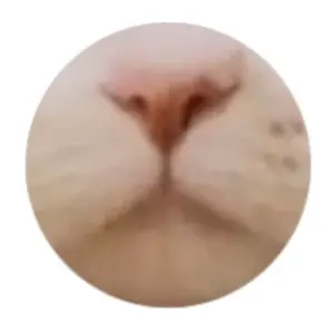 【一点もの】アンティーク和布と竹ハンドルのパッチワークグラニーバッグ 一点もの】アンティーク和布と竹ハンドルのパッチワークグラニー