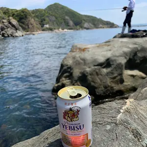 シモツケ下野メジャーブラッドレグナスバージョン85WB /ジャンク