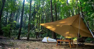 再値下げ：コールマン アテナトンネル2ルームハウス/LDX (RS/TAN) Amazon.co.jp: アテナトンネル2ルームハウス/LDX : スポーツ＆アウトドア