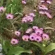 nanaハンドメイド