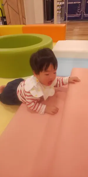 ZARDグッズ まとめ売り 掘り出し物多数 美品 未開封多数 - メルカリ