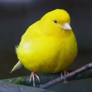 深見東州の土曜神業録 5 - メルカリ