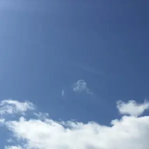 1930年製Conn New Wonder コルネット トランペットと持ち替えに