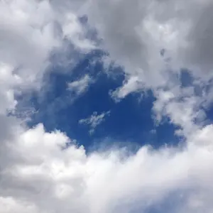 オサダ センサーカップ給水フィルター - メルカリ