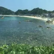 父の遺品整理、Sylvania 5AR4 EZ34 真空管セット - メルカリ