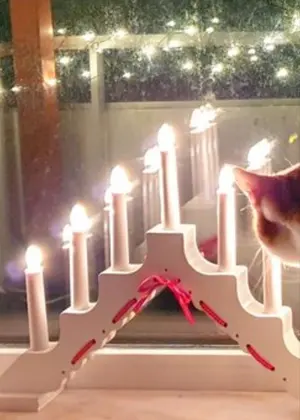 hi-coさま専用 カシミア混　毛布　無印良品　シングル　140✕200 hi-coさま専用 カシミア混 毛布 無印良品 シングル 140✕200