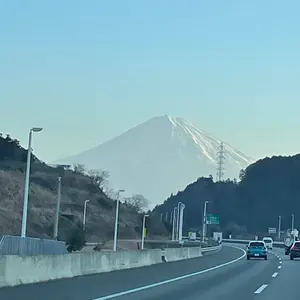 手渡し限定 大型 特大 金彩 薩摩焼 花瓶 壺 置物 - メルカリ