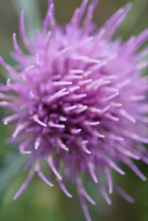 ま*ち様 bhcpdii MGストライクフリーダム EGガンダム 30MSリシェ