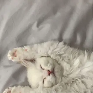 匿名配送】ディアーエリン ハンドパック フットパック ハンド