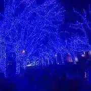 乃木坂46 個別ペンライト 愛宕心響 1本 - メルカリ