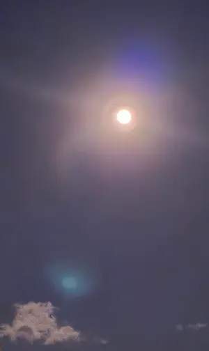 ぶつけて遊ぼう トミカ 真夏の夜の淫夢セット - メルカリ