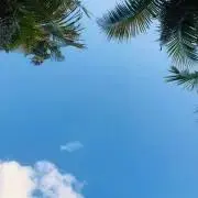 momo 様 ルーヴルドー レヴィ クレンジング 美肌土台 ルーブルドー