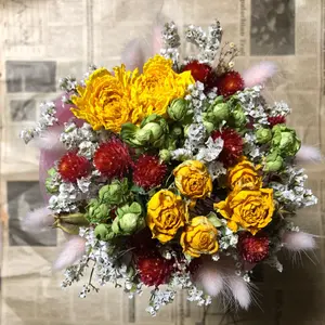 富貴蘭 豆葉赤花『朱天童子』4本立 風蘭 長生蘭 中国蘭 春蘭 山野草