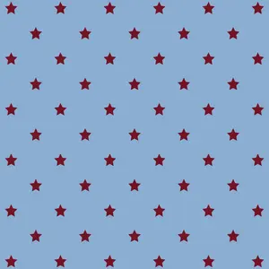 2週目 BOYSⅡPLANET ボイプラ2 展示会 トレカ ジュニル - メルカリ