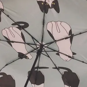 ラ*ン様 ビカクシダ Willinckii Aysun'月神'（板付け済み） ③ ラ*ン様 ビカクシダ Willinckii Aysun'月神'（板付け済み） ③ - メルカリ
