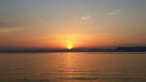 ヤヴィマヤの化身、ムルタニ 未来予知枠 foil ミステリーブースター2