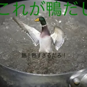 DIECOCK ホーンツィーター 40W DH-TZ1 2個セット DIECOCK ホーンツィーター 40W DH-TZ1 2個セット - メルカリ