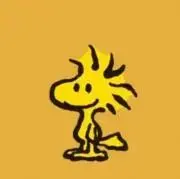 東京ディバンカー 東ディバ トレカ レア R 箔押し サイン入り 殊玉