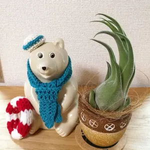 フリーセア アビゲイルジーン フリーセア アビゲイルジーン - メルカリ