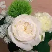 蒼*薇様 ペルピニャンガーネット リング リメイク品 - メルカリ