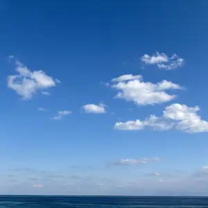 lol@プロフ必須/値下げ◎