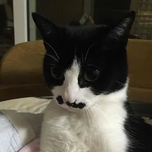 フルドラグ tsr 10号& CASTMAN ABSORBER 270LB フルドラグ tsr 10号 もふぞん専用 peのみ - メルカリ