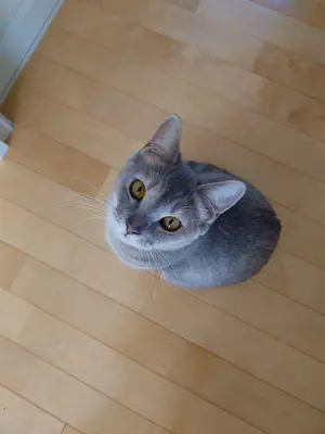 専用です】14kgfブルーオパール✴︎フラワーガーデンカービングP260他