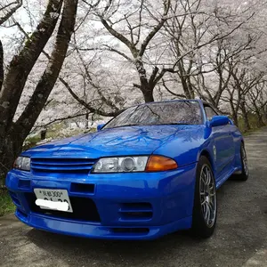 イーストベアー R32 サイドシェル サイドステップ サイドプロテクター 