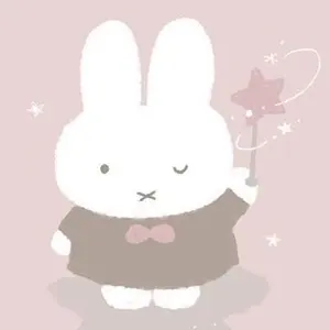 道重さゆみTシャツ2枚まとめ売り＊Mサイズ - メルカリ