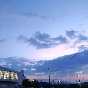 ＢＬＵＥ ＰＬＵＳ(ブループラス)