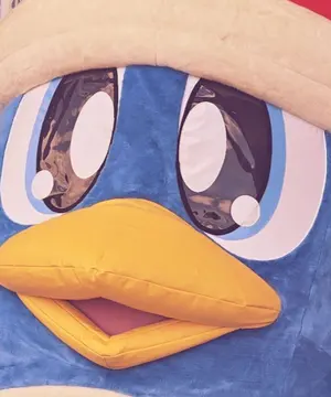 ジェックス GEX マリーナ幅60cm水槽LOW ハープネット(網蓋)セット