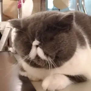 関西大阪万博記念 ガラス製フォトカードフレーム ミャクミャク イコ