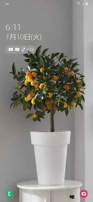 中森明菜 ISETAN 限定 Lサイズ - メルカリ