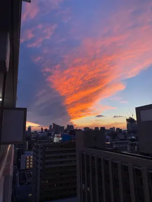 引取限定 解体済 ROGUE Monster Rigs ローグモンスターリグ - メルカリ