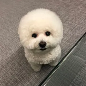 NCTDREAM ジェミン うちわ ポップアップ POPUP SPACE トレカ - メルカリ