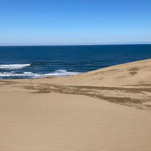 ランドロード 花柄ニット 20AW ブラック BTS J-HOPE着用 ランドロード 花柄ニット 20AW ブラック BTS J-HOPE着用 - メルカリ