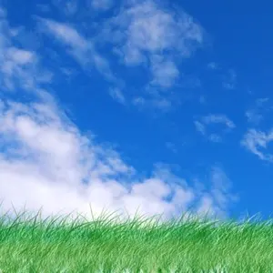 Hastly/次回発送月曜日夕方